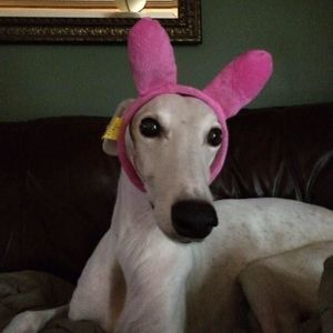 Meet your Posher, Susan